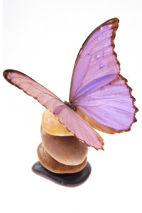 Butterflyonstone